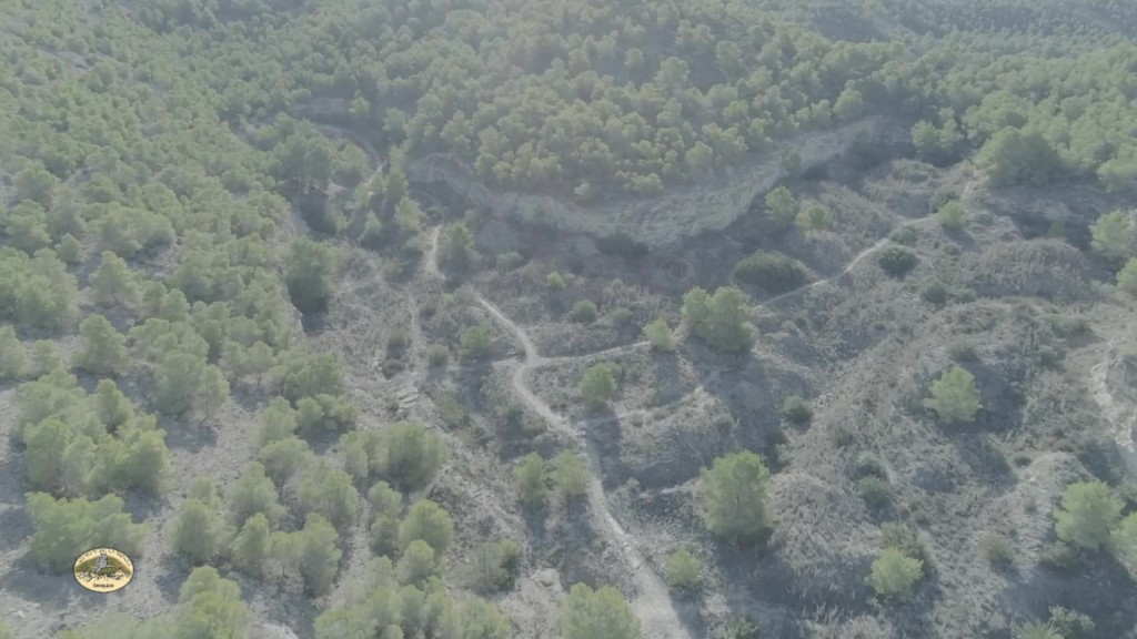 Cantera Requena